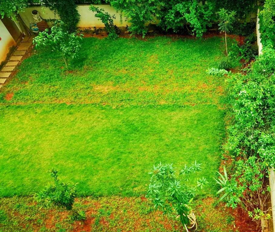 Tulip Villa Bangalore Dış mekan fotoğraf